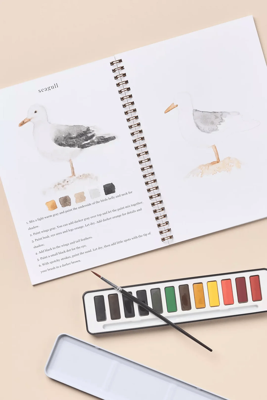 Emily Lex Watercolor Workbook