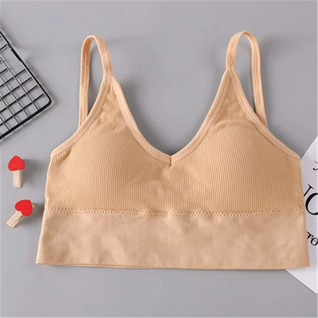 Women Tank Crop Top Bra Underwear Seamless Tube Top Back Hollow Lingerie Wire Free Intimates With Removable Padded 2019