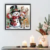 Diamond Painting - Partial Special Shaped Drill - Winter Snowman(Canvas|30*30cm)