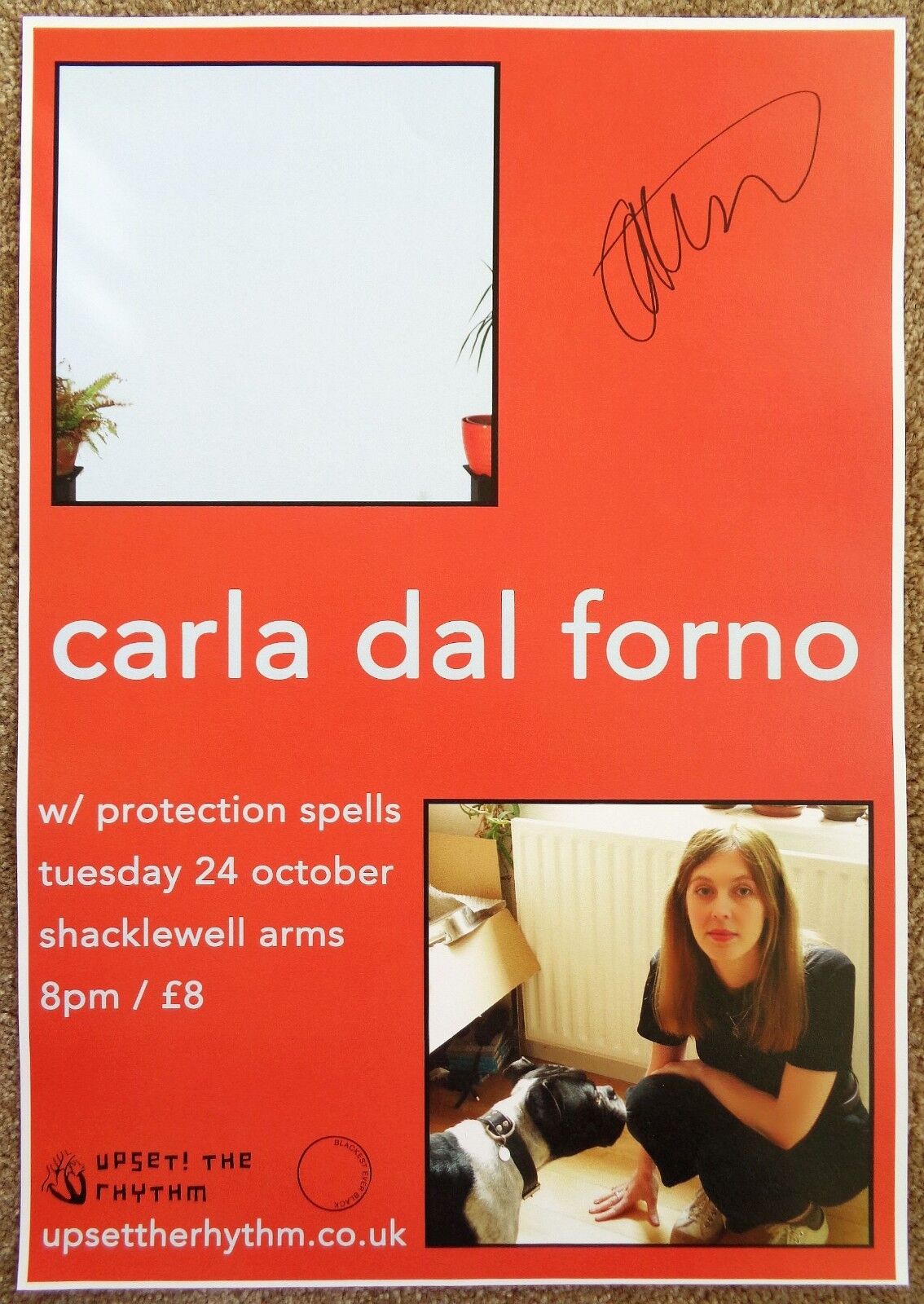 Signed CARLA DAL FORNO Gig POSTER In-Person w/proof Concert Autograph