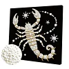 Scorpion DIY Pearl Art Diamond Painting Kit for Adult Home Decor 25x25cm With Frame