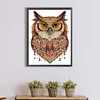 Diamond Painting-DIY Crystal Rhinestone Owl