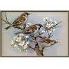 Flowers and birds | Full Round Diamond Painting Kits