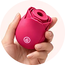 Clitoral Suction Toys