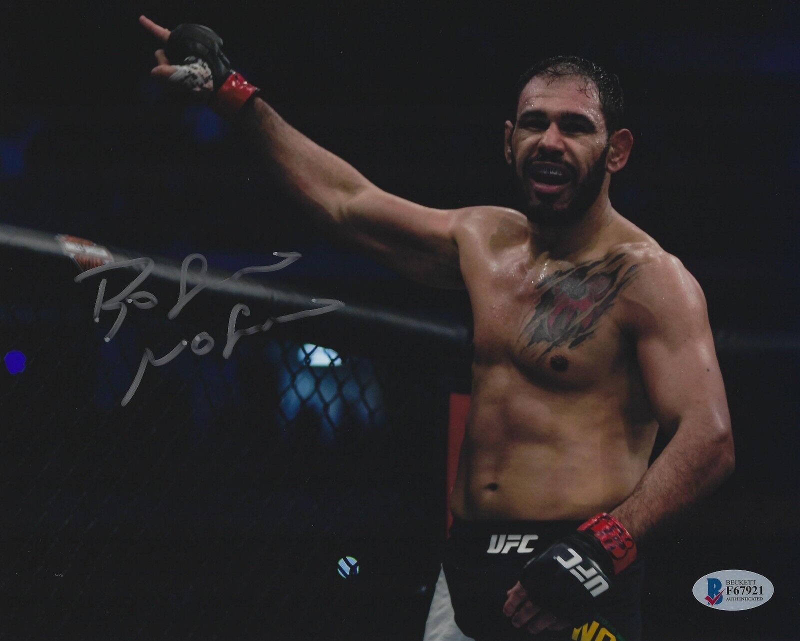 Antonio Rogerio Nogueira Signed 8x10 Photo Poster painting BAS COA UFC Pride Picture Autograph 0