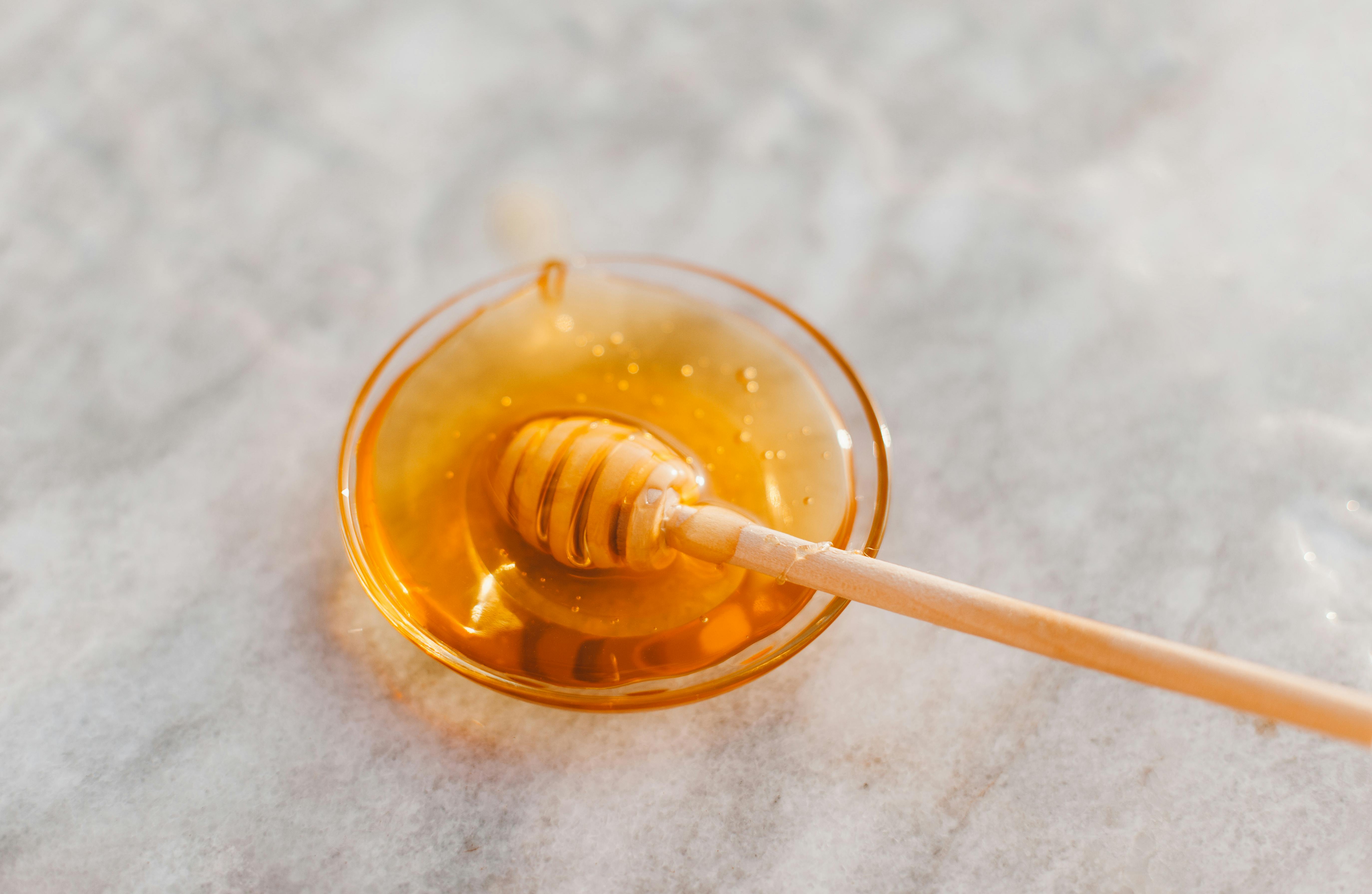 Can Hummingbirds Eat Honey? Important Facts for Safe and Healthy Feeding