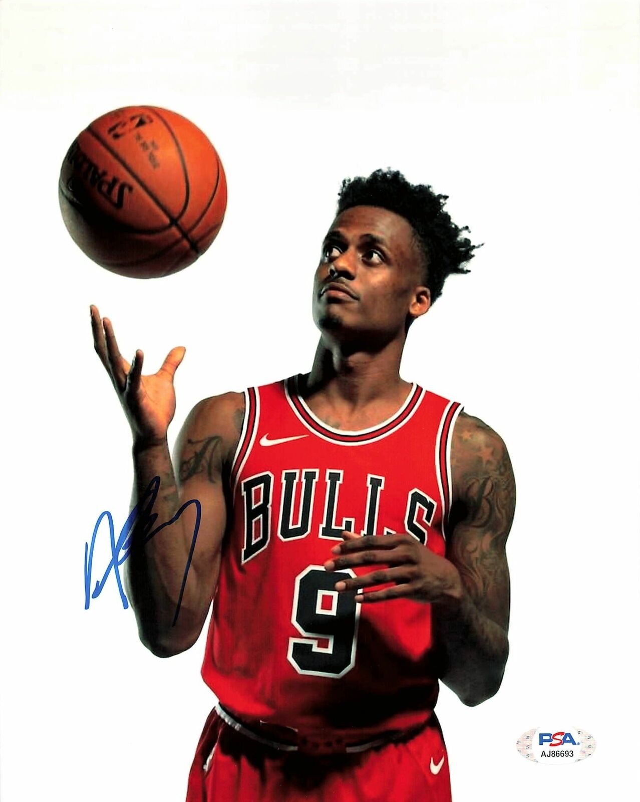 ANTONIO BLAKENEY signed 8x10 Photo Poster painting PSA/DNA Chicago Bulls Autographed