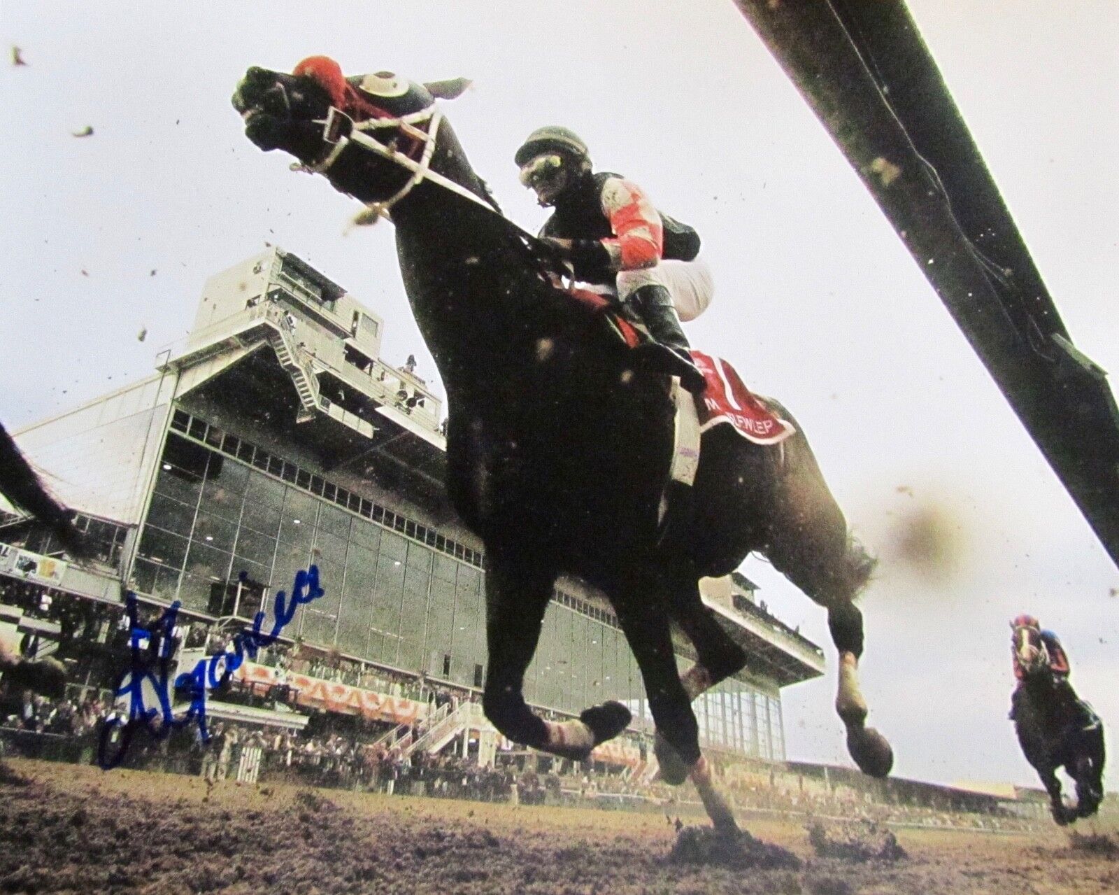 ALAN GARCIA AUTOGRAPHED SIGNED HORSE RACING 8 x 10 Photo Poster painting w/COA & HARD TOP LOADER