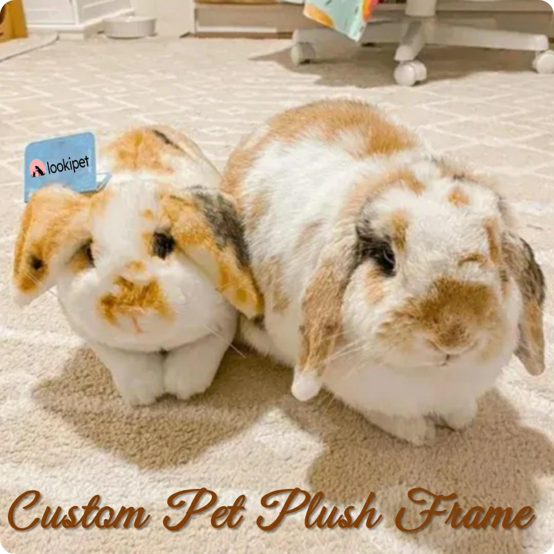 lookipet custom pet stuffed animals，pet stuffed replica