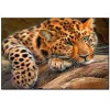Leopard | Full Round Diamond Painting Kits