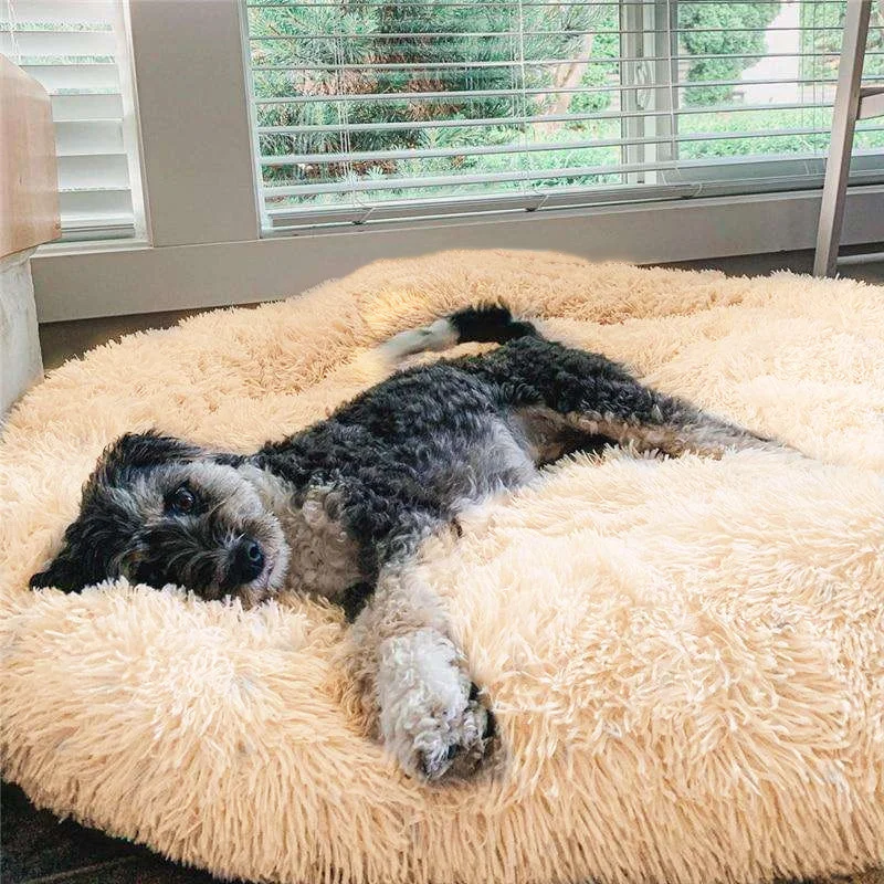 Calming Dog Bed - Anxiety Relieving Dog Bed, Anti-Anxiety Donut Pet Bed