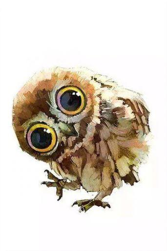 

Cute Owls – Paint By Numbers - 40*50CM, 501 Original