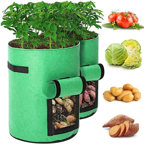 2PC Vegetable, Fruit, Potato Plant Grow Bags