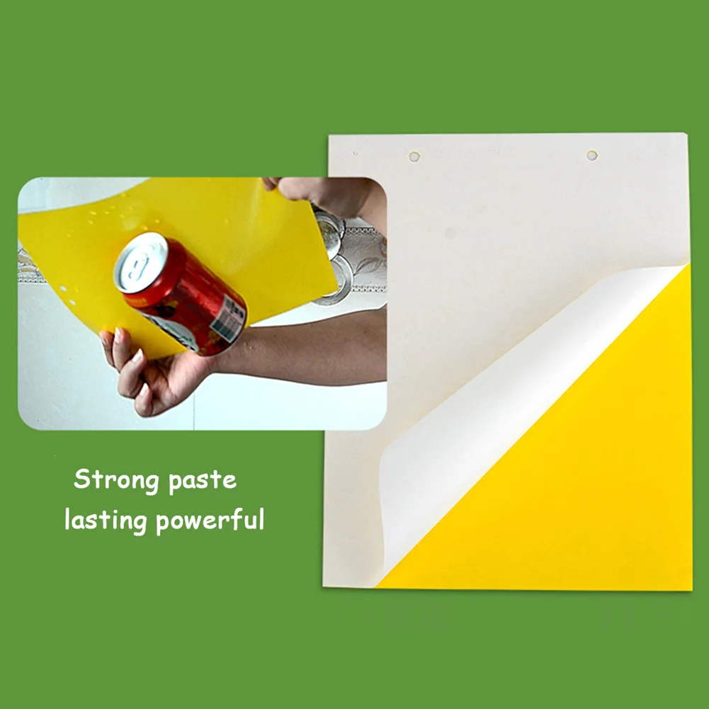 50pcs Strong Flies Traps Bugs Sticky Board Catching Insects Pest Killer