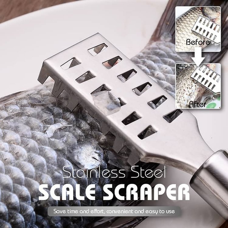Stainless Steel Scale Scraper（50% OFF）