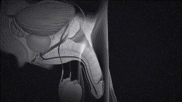 Desenvolvimento de sistema COD de uma página, entre em contato com QQ: 494906791 / WeChat: chenshu494906791