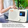 C10 2.4 inch Color LCD Screen Digital Desktop Alarm Clock DAB DAB+ FM Radio