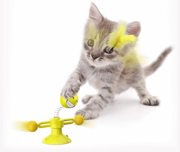 Spring Human Turn Cat Toy