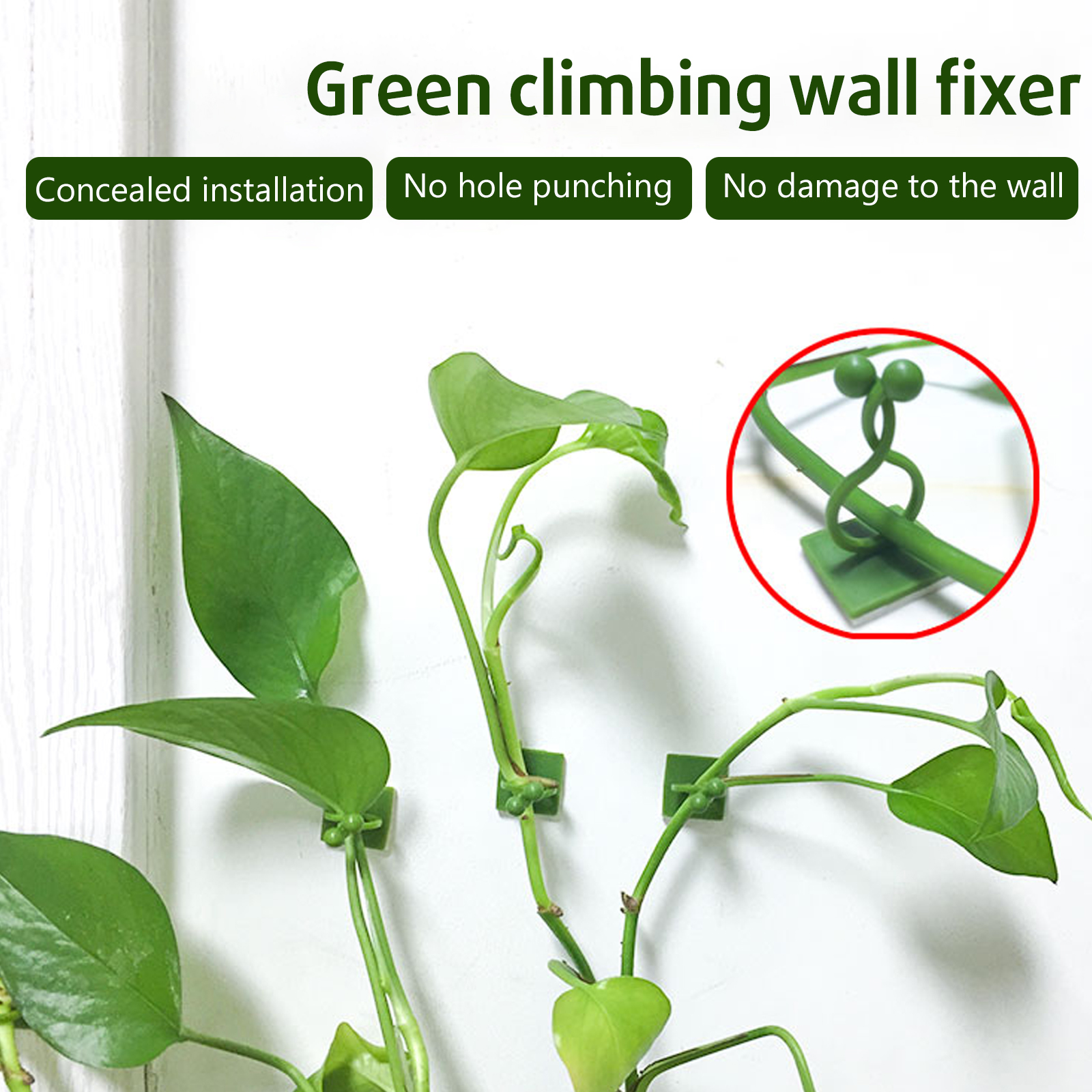 

Plant Climbing Wall Fixture Clips Plant Self-Adhesive Invisible Fixing Clip, 501 Original