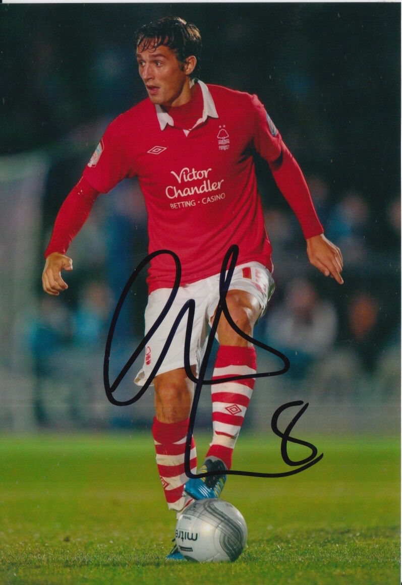 NOTTINGHAM FOREST HAND SIGNED CHRIS COHEN 6X4 Photo Poster painting 1.