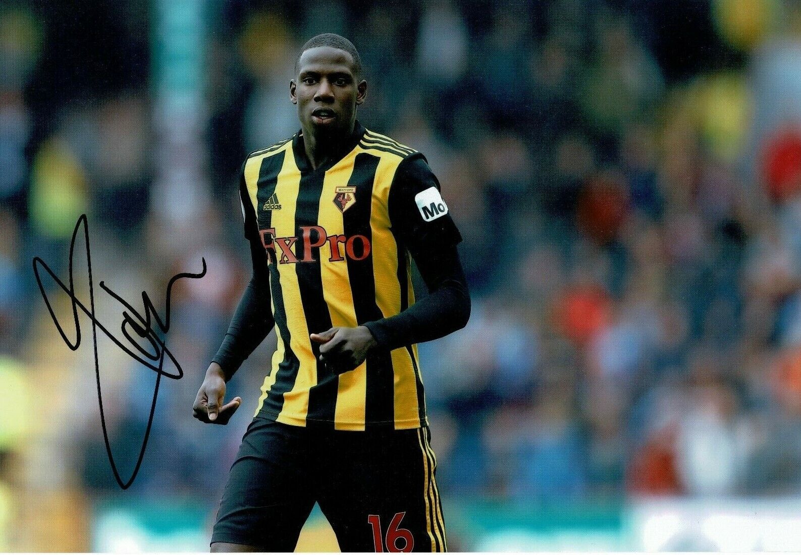 Abdoulaye Doucoure Signed 12X8 Photo Poster painting Watford F.C. AFTAL COA (1811)