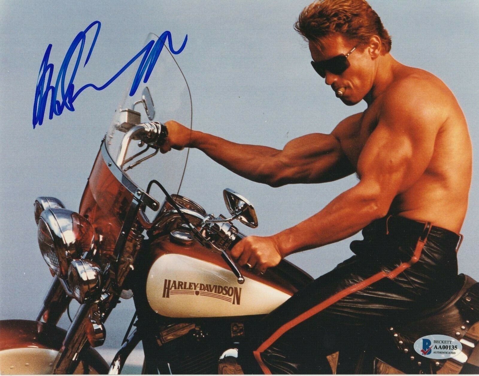 ARNOLD SCHWARZENEGGER Signed on a HARLEY DAVIDSON 8x10 Photo Poster painting w/ Beckett LOA