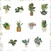 11pcs Mini Square Diamond Painting -Plant