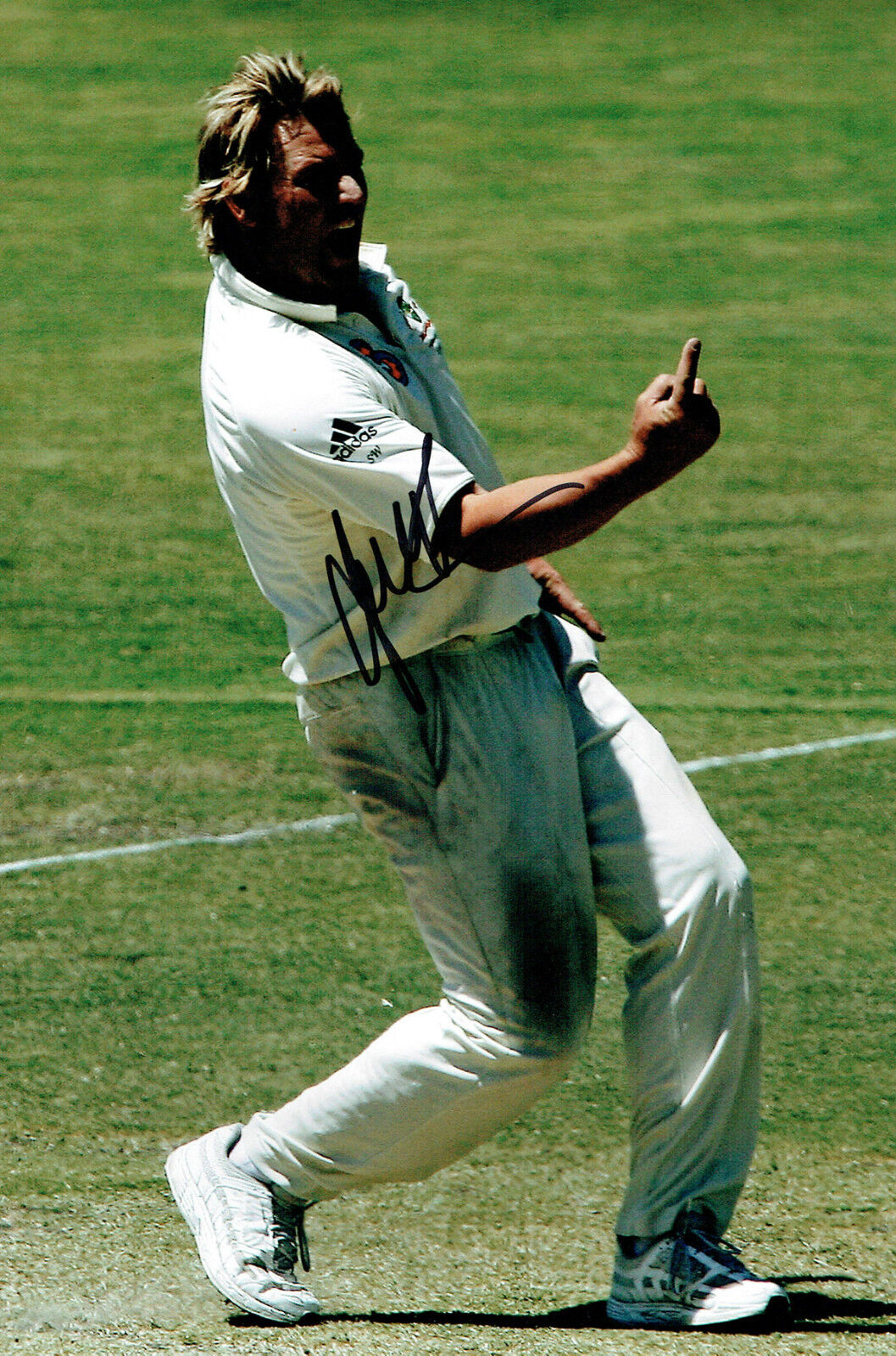 Shane WARNE Signed Autograph 12x8 Australia CRICKET Spin Bowler Photo Poster painting AFTAL COA