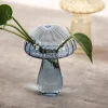 Vases en verre transparent Cactus et champignons