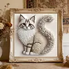 Kit de peinture en diamant partiel en forme de type &laquo; cat &raquo; DIY pour adultes d&eacute;butants d&eacute;coration int&eacute;rieure peintures de diamants et &oelig;uvres de pierre
