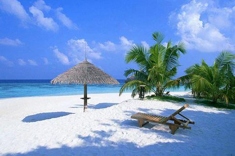 

Caribbean Beach – Paint By Numbers - 40*50CM, 501 Original
