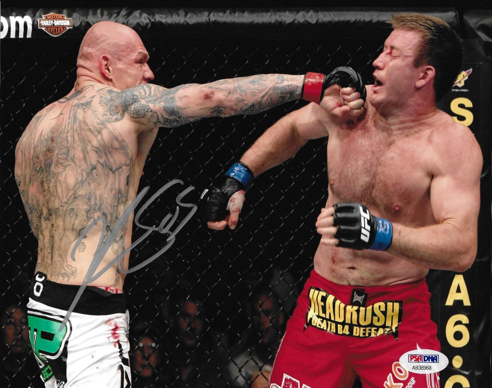 Krzysztof Soszynski Signed UFC 8x10 Photo Poster painting PSA/DNA Picture Stephan Bonnar 116 110