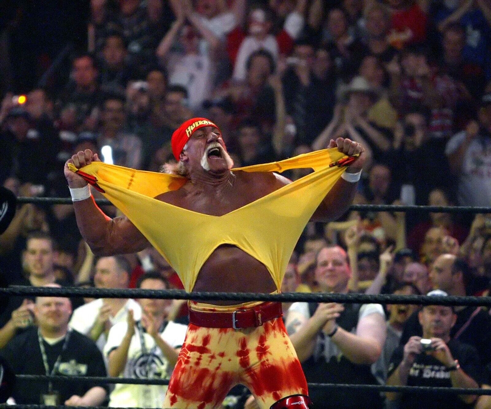 Hulk Hogan 8x10 Photo Poster painting WWE WWF NWO WCW HULK HOGAN