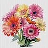 Gerbera - 11CT Stamped Cross Stitch - 40*40cm - Flower