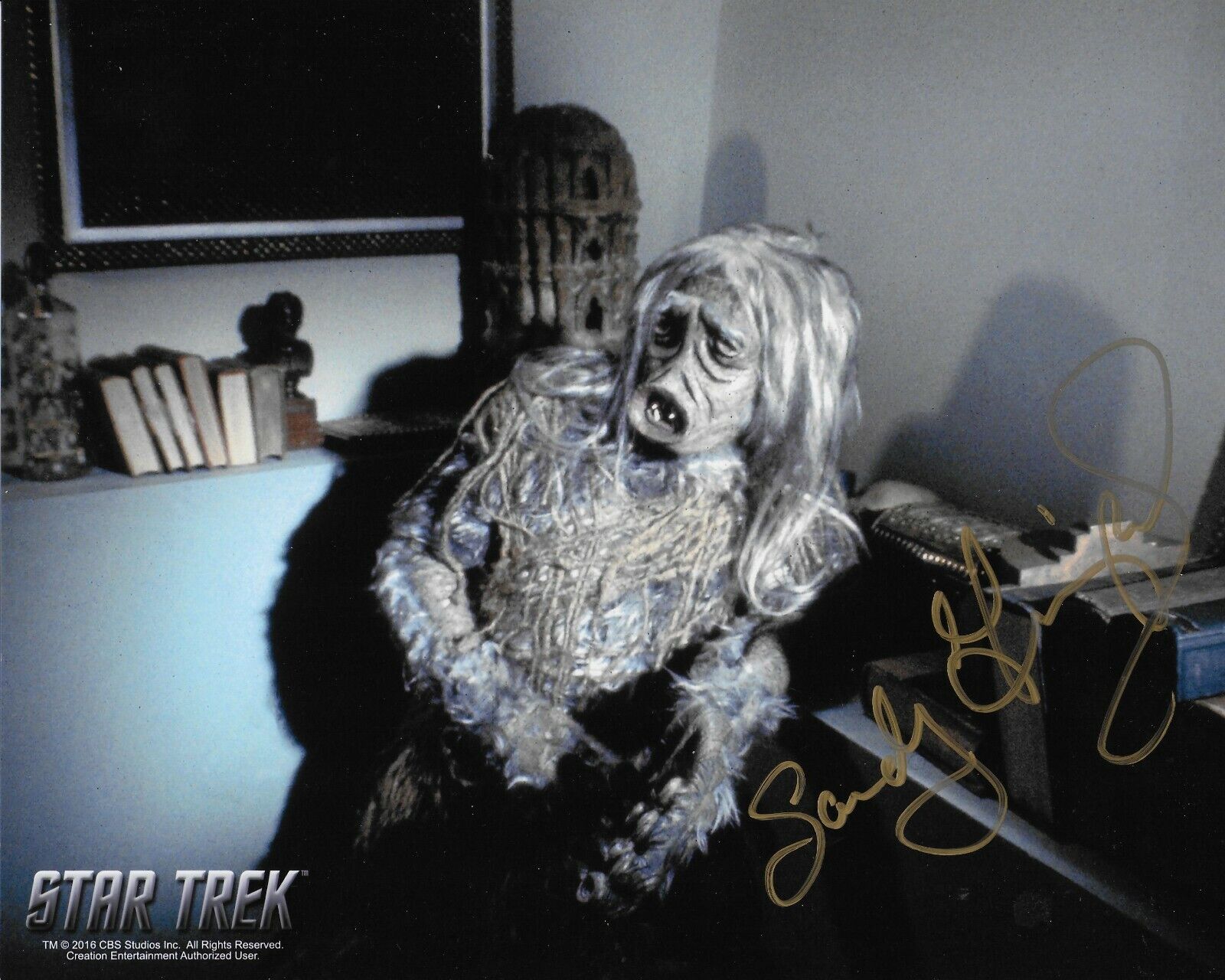 Sandra Lee Gimpel Star Trek TOS original autographed Photo Poster painting 8X10#15