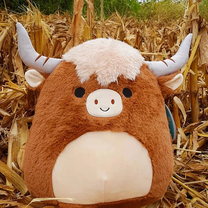 Calton Squishmallows Toys Highland Cow