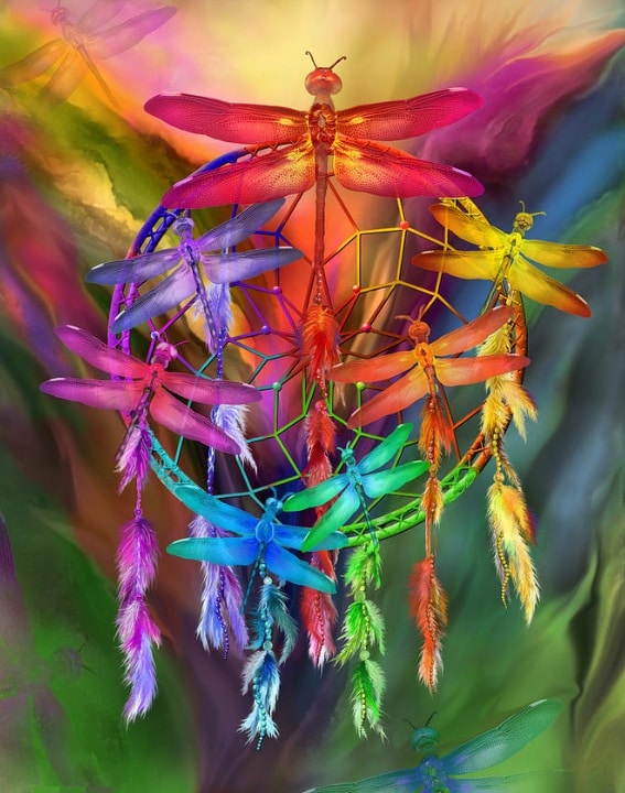 

Colorful Dragonfly – Paint By Numbers - 40*50CM, 501 Original