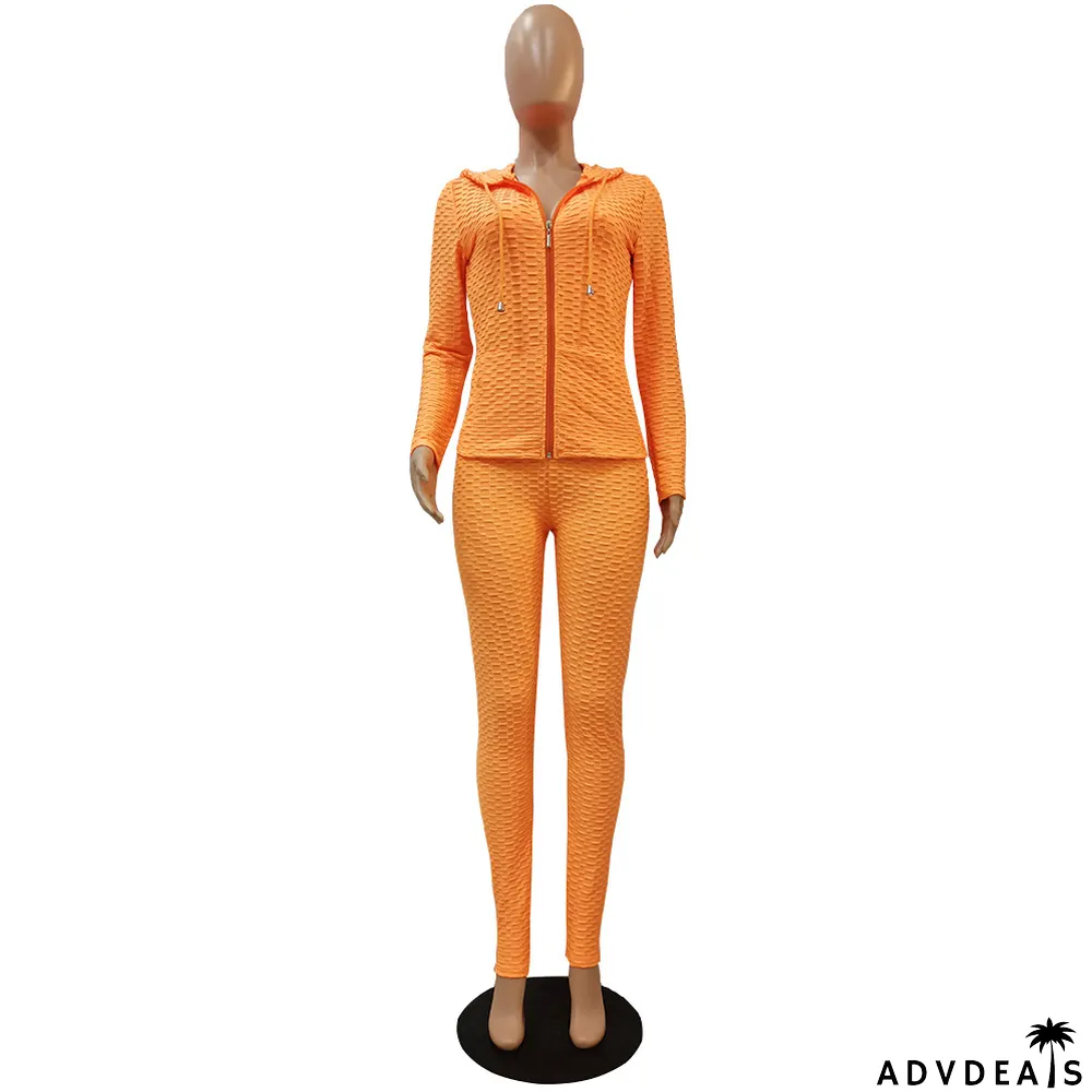 Solid Hooded Long Sleeve Zipper 2 Piece Pants Set