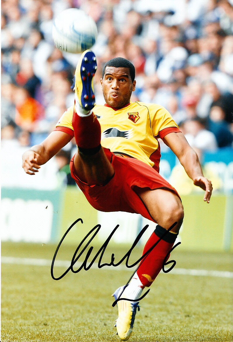 Watford F.C Adrian Mariappa Hand Signed 11/12 Photo Poster painting 12x8 3.