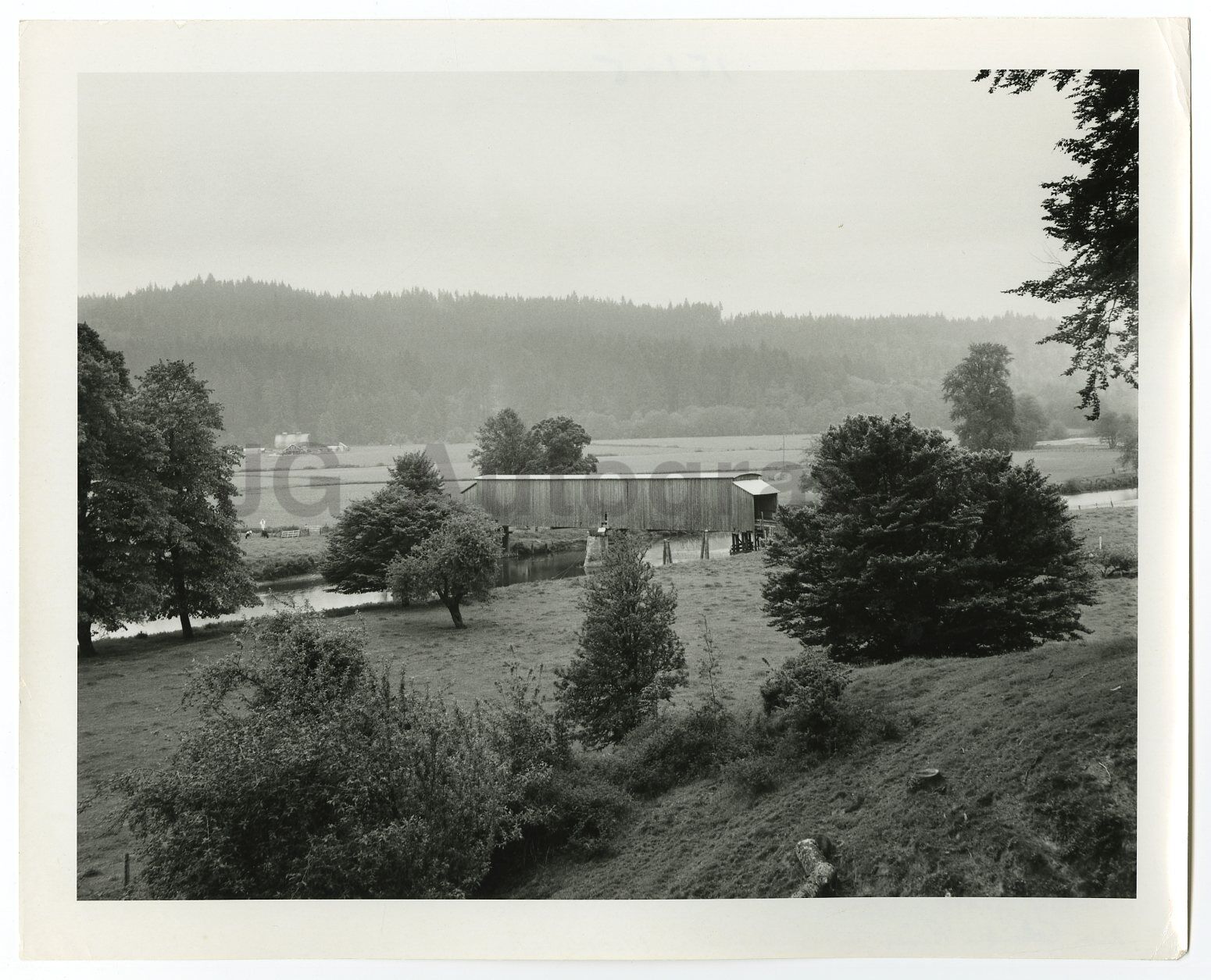 Washington State History - Grays River - Vintage 8x10 Photo Poster paintinggraph