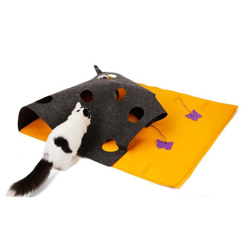 Cat scratching a blanket