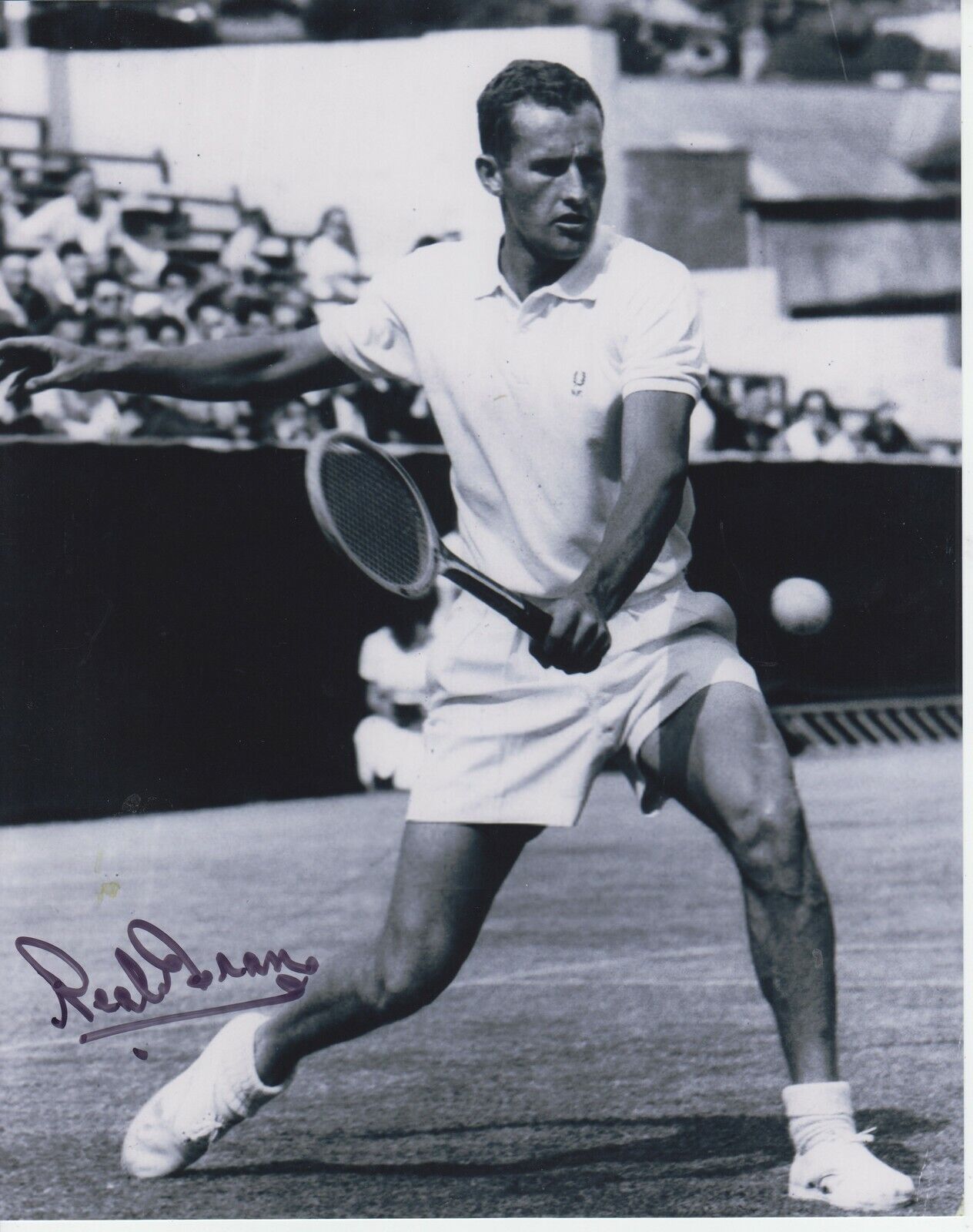 Neale Fraser #1 8x10 Signed Photo Poster painting w/ COA Tennis-Men -