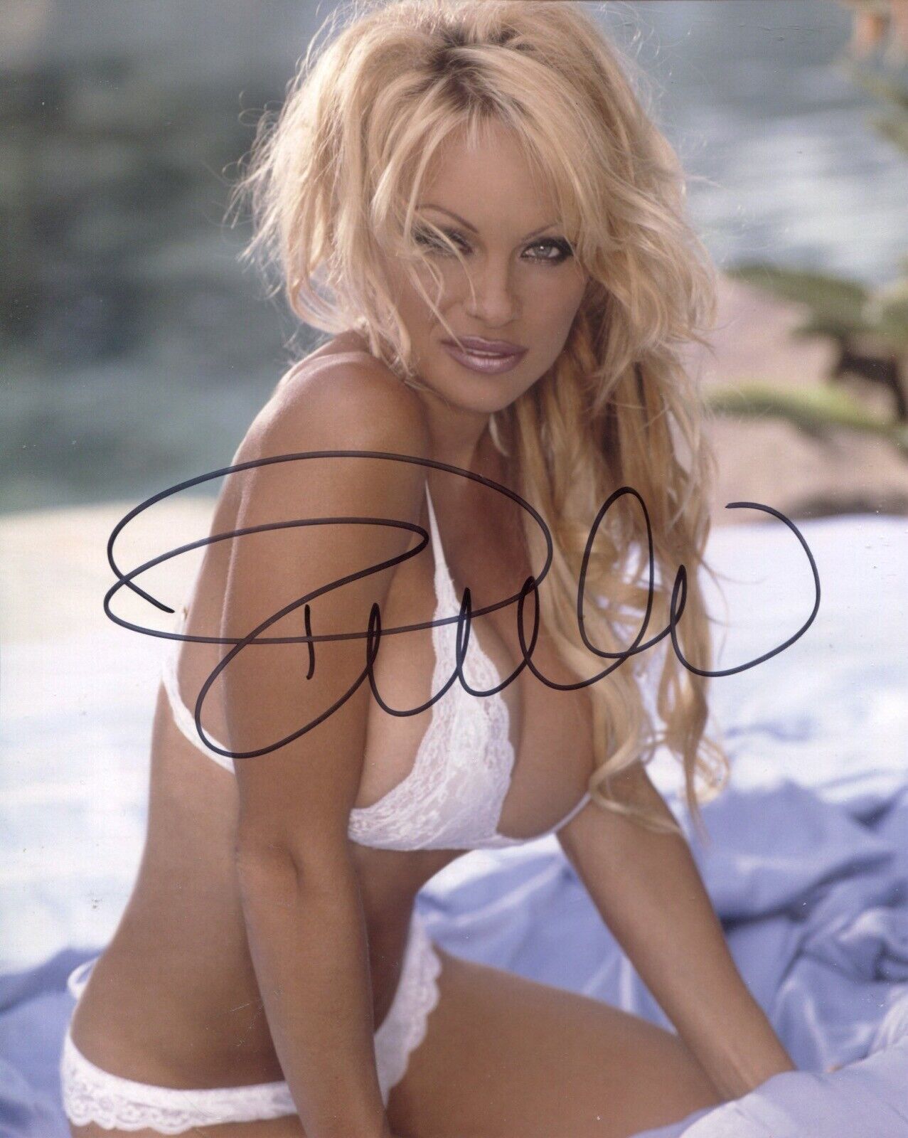 Sexy Baywatch actress PAMELA ANDERSON stunning signed 8x10 Photo Poster painting