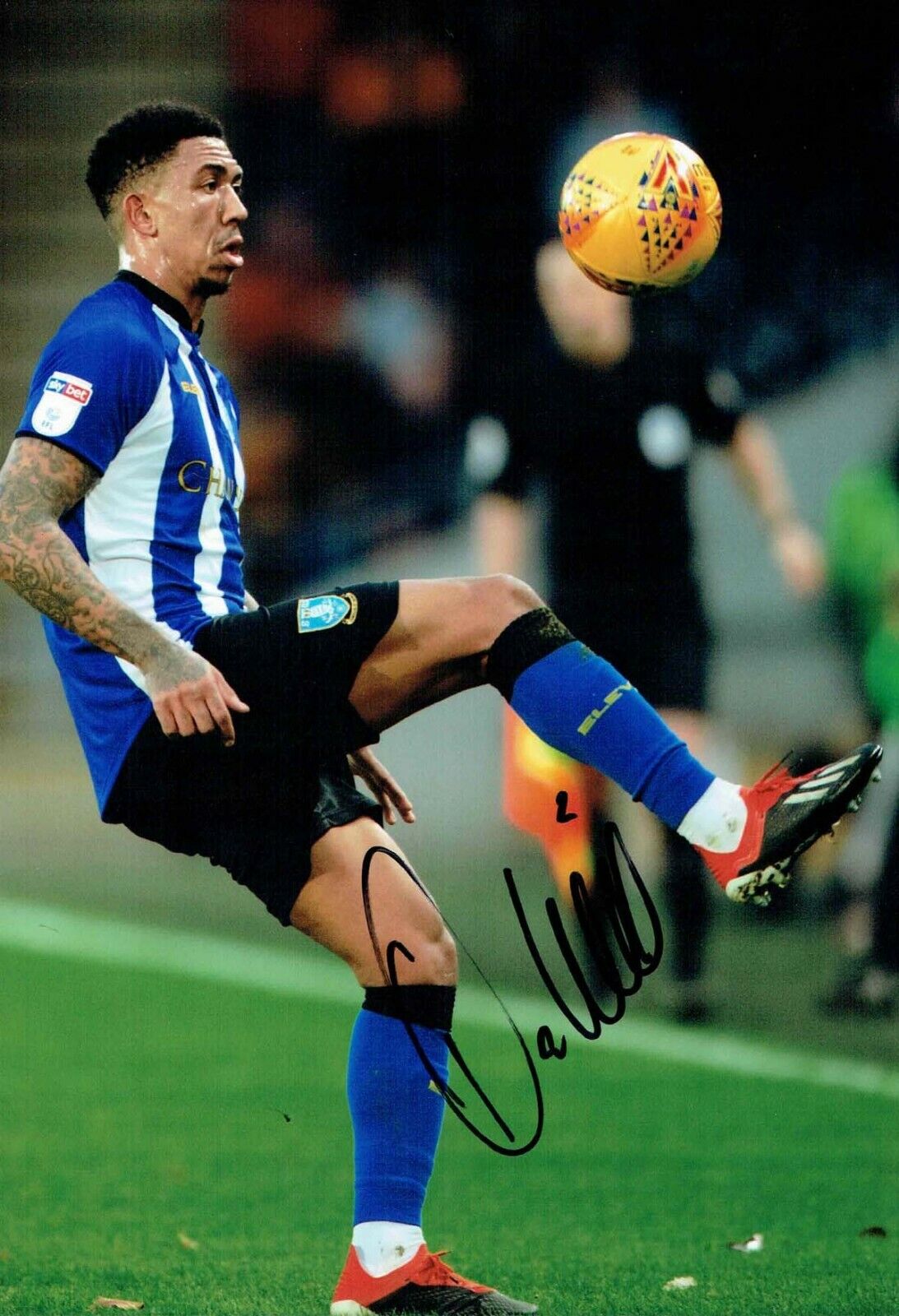 Liam PALMER Sheffield Wednesday SWFC SIGNED 12x8 Photo Poster painting 5 AFTAL COA OWLS