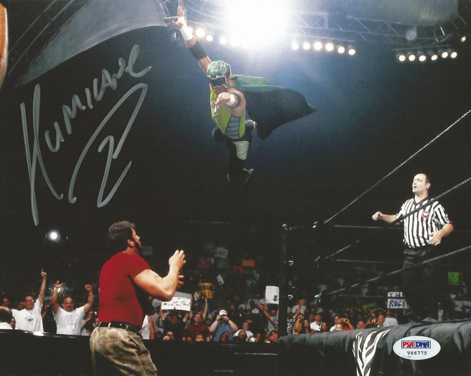 The Hurricane Gregory Shane Helms Signed WWE 8x10 Photo Poster painting PSA/DNA COA Picture Auto