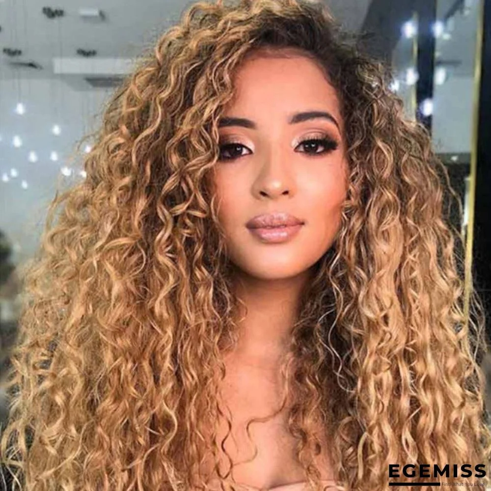 Long Curly Hair African Small Curly Hair Fiber Wig | EGEMISS