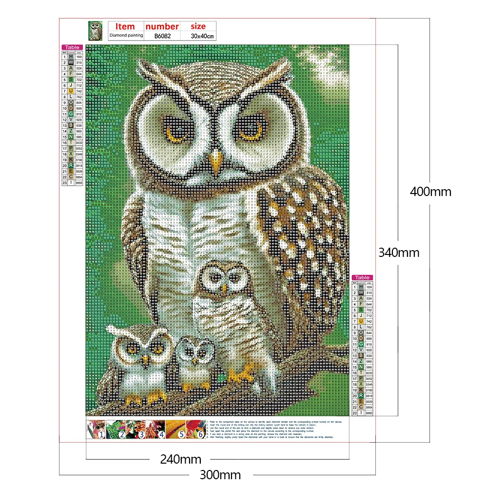 Diamond Painting - Full Round Drill - Owl(30*40cm)
