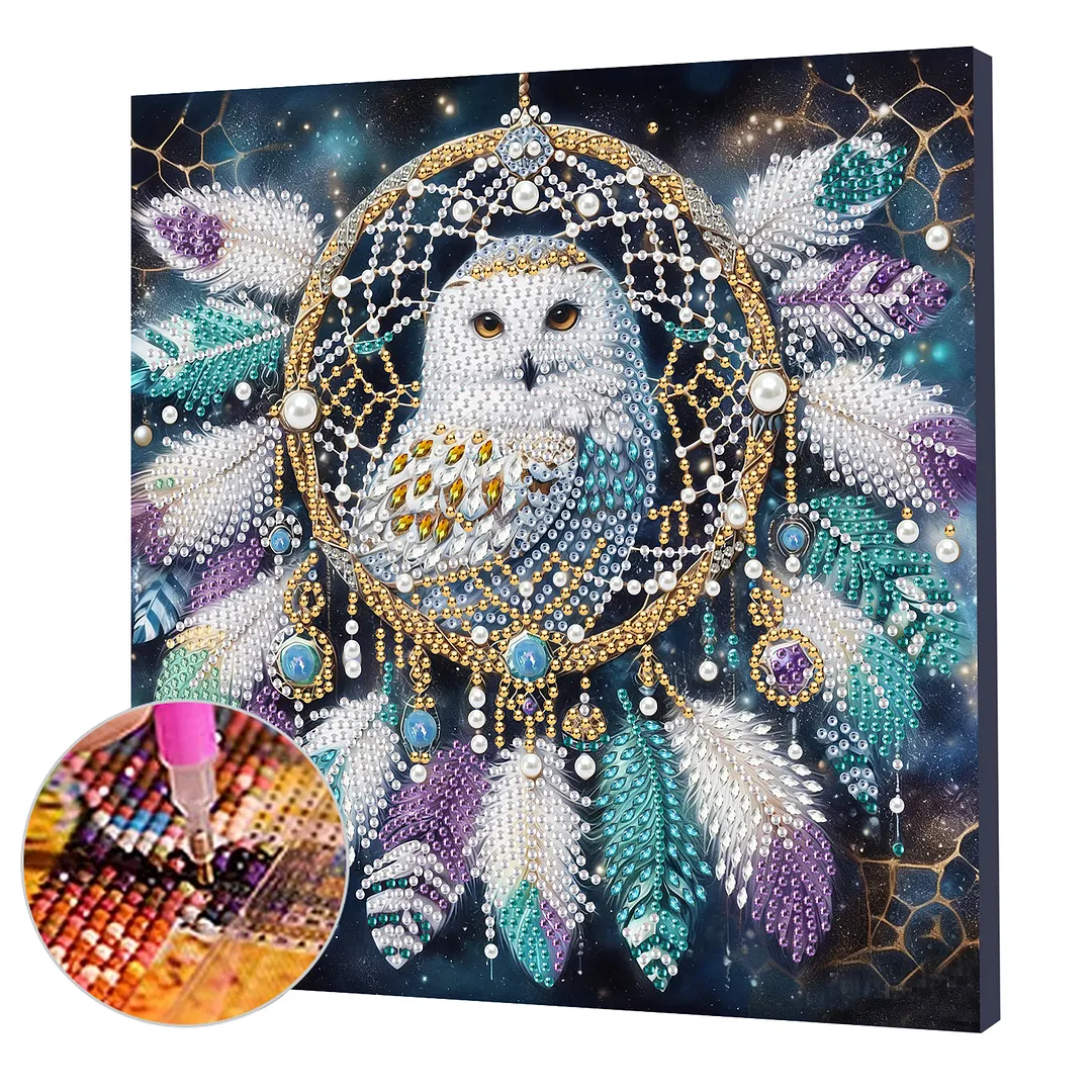 Owl Dreamcatcher DIY Art Craft Pearl Diamond Painting with Frame 9.84x9.84in Diamond Art Pearl Painting Kit for Adults Beginners Gift Idea Home Wall Decor