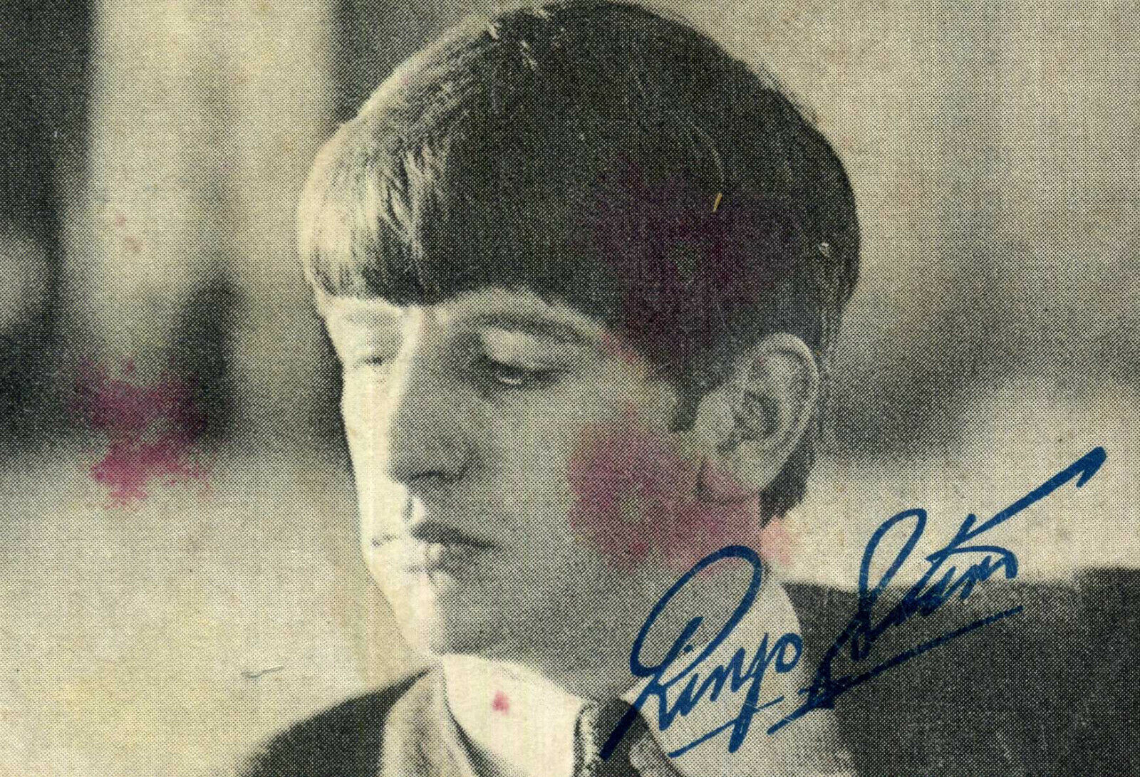 RINGO STARR Signed Photo Poster paintinggraph - Pop Star Drummer THE BEATLES - preprint