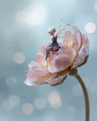 Fairy Sitting Flower - Diamond Painting